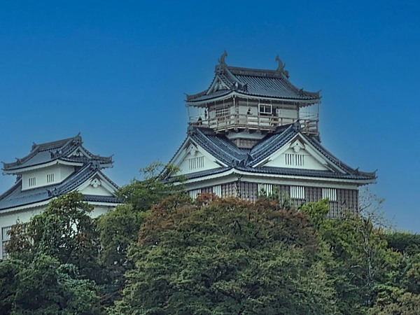 Echizen Ono Castle in Fukui