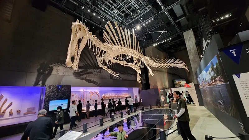 Fukui Dinosaur Museum hanging Spinosaurus