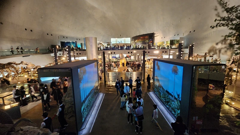 Panoramic overview of dinosaur museum central hall