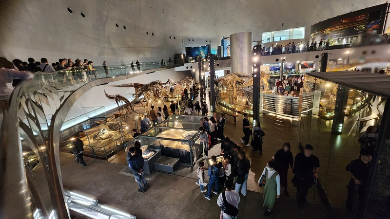 Balcony view into skeleton displays at Fukui dinosaur museum