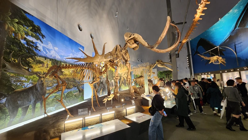 Mammoth and mixed-species gallery wall exhibit