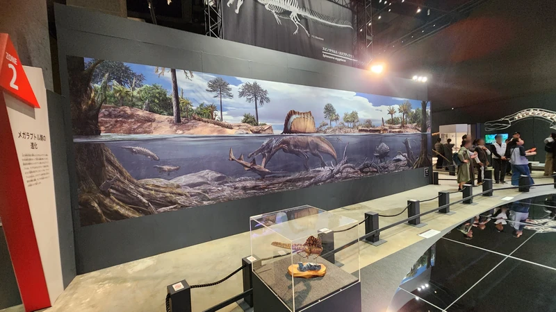 Interpretive mural and fossil display corridor at Fukui dinosaur museum