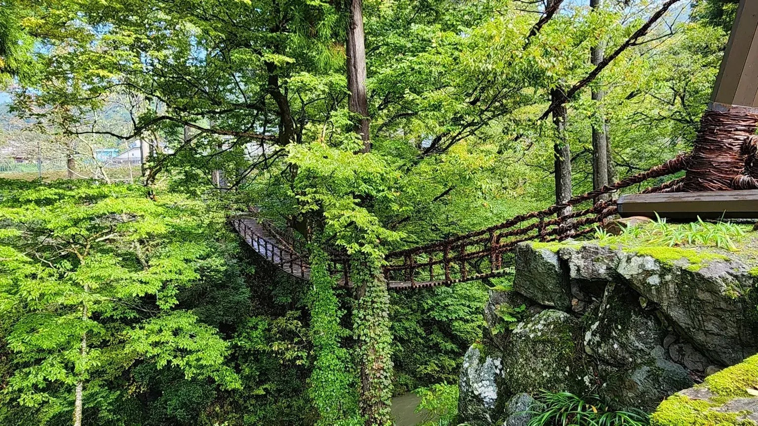 Kazura Bridge, Fukui