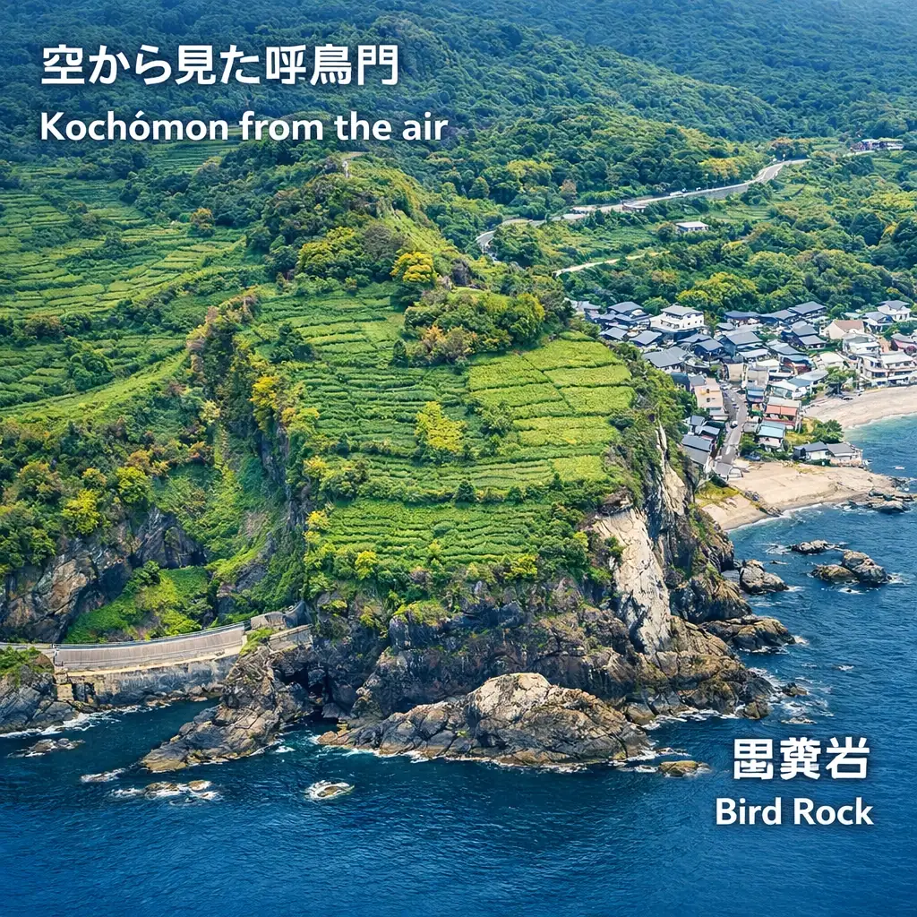 Kochōmon arch aerial view thumbnail