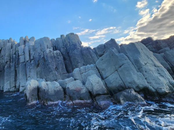 Close-up of jagged rock formation at Tojinbo