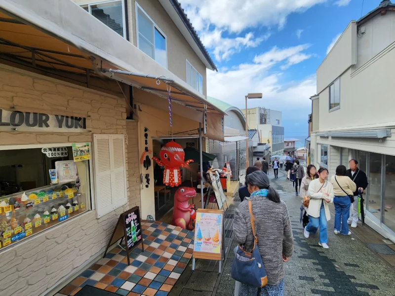 Tojinbo vendor street near the cliffs
