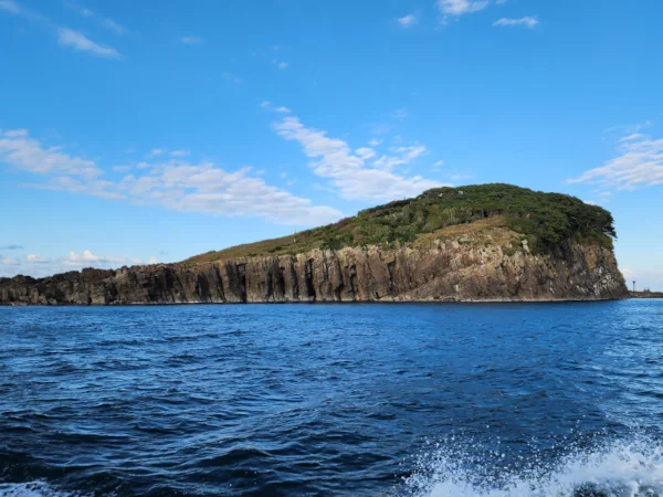 Island and red bridge near Tojinbo coast