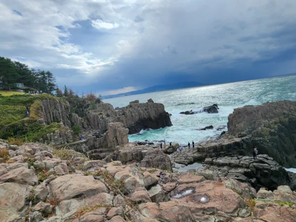 Forest line descending toward sea cliffs