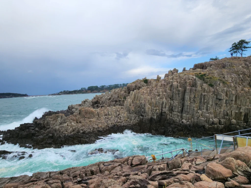 Wide treetop view over Tojinbo cliffs