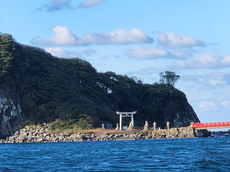 Island view from Tojinbo cliffs